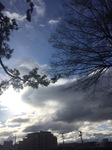 9652B9CB-69FA-4D89-9447-2FF6DDD2034A.jpeg