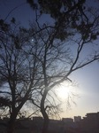 9D87CA0A-3335-4CD0-B228-99A09B7A3831.jpeg