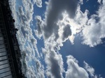 IMG_2384.jpeg