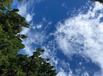 IMG_3554.jpeg