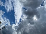 IMG_4203.jpeg