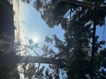 IMG_4244.jpeg