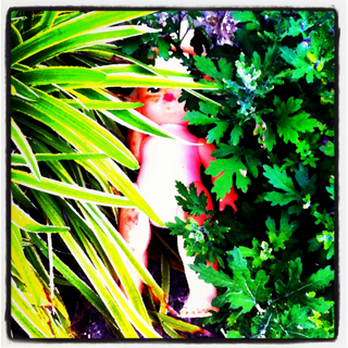 image-20120529065548.png