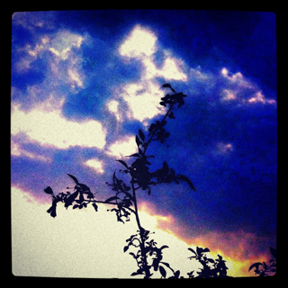 image-20120602063437.png