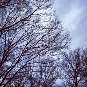 image-20140314075000.png