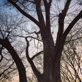 image-20140318000844.png